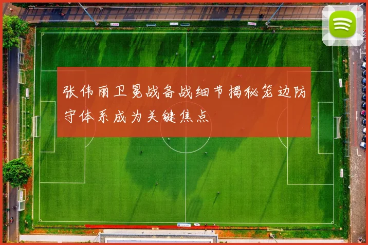 张伟丽卫冕战备战细节揭秘笼边防守体系成为关键焦点